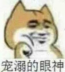 DƬ